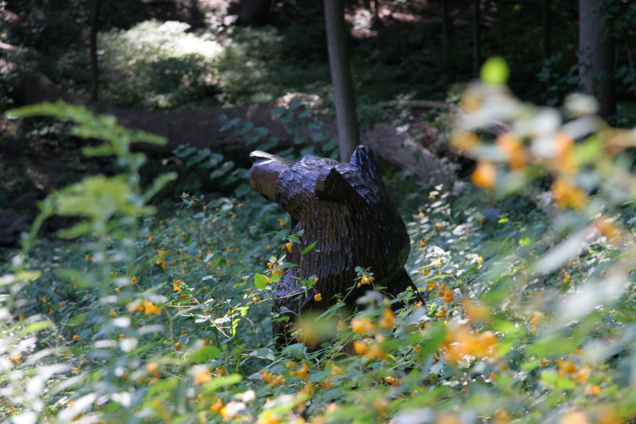 Howarth House Bed And Breakfast Fitchburg Bagian luar foto